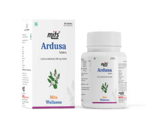 Mits Ardusa Tablet